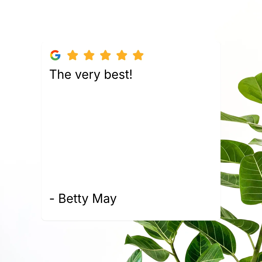 Five-star Google review card with testimonial 'The very best!' over green leafy plant foliage
